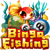 Bingo Fishing - PH29 Fishing